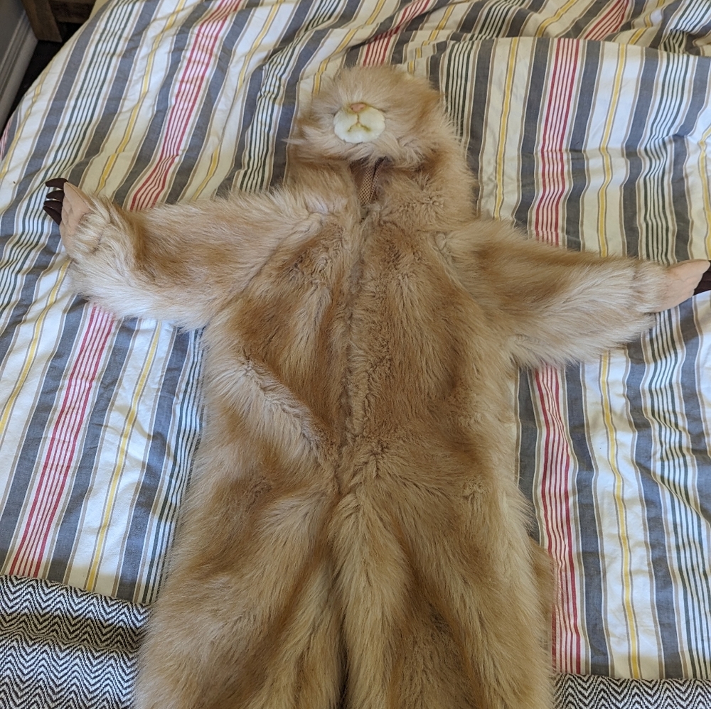 Kids 3T cat costume